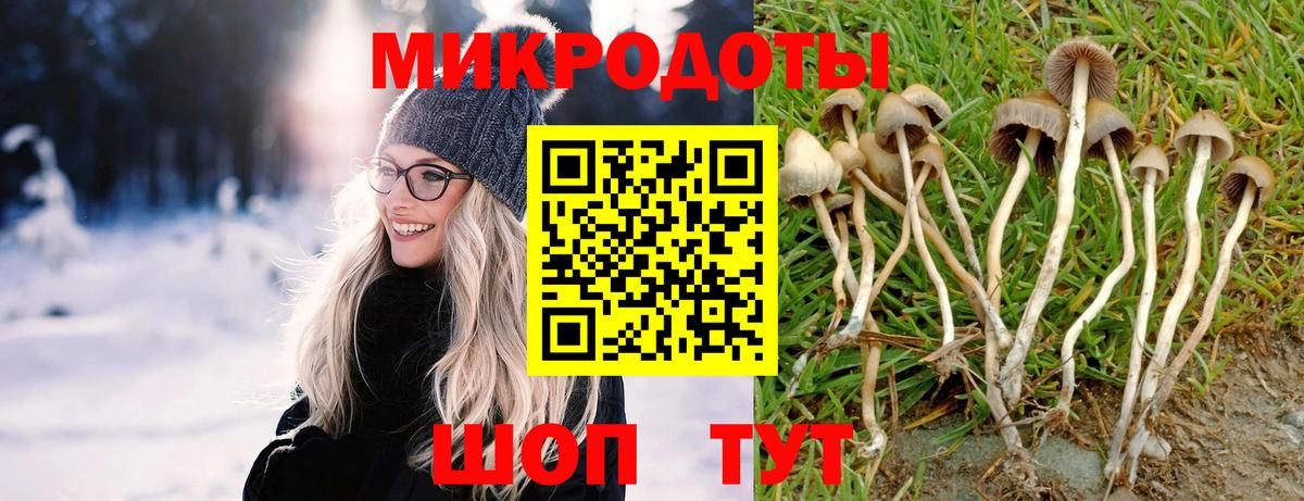 Псилоцибиновые грибы мицелий Ишим