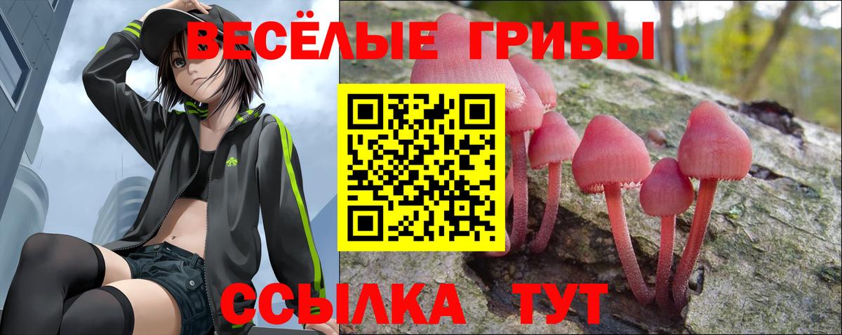 Псилоцибиновые грибы Psilocybine cubensis  Вход с VPN  Псилоцибиновые грибы Magic Shrooms  Ишим 