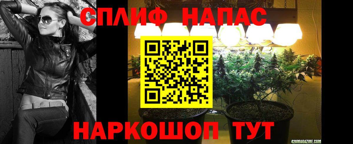 Бошки Шишки Bruce Banner Ишим